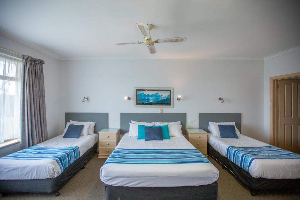 motel, holiday houses, pet-friendly accommodation, southeast serviced holiday apartments