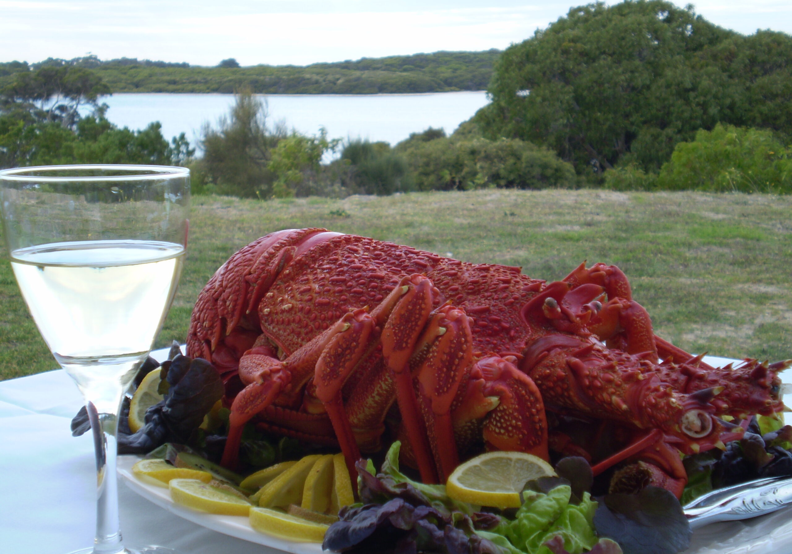 Enjoy Crayfish and Wine with a view over the lake at Robe