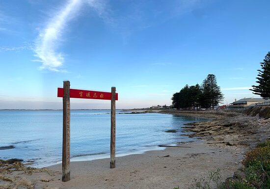 Chinese Monument, Robe SA